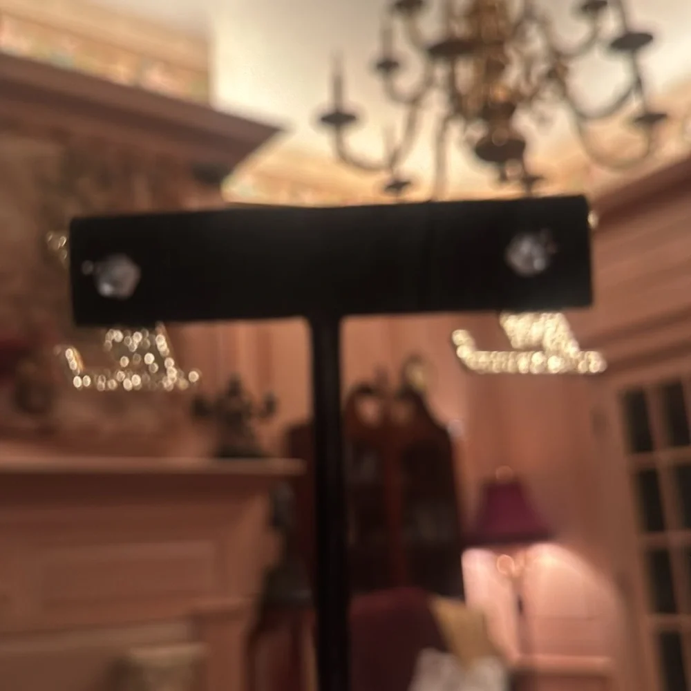 LV Earrings signed in the back - Picture 4 of 6